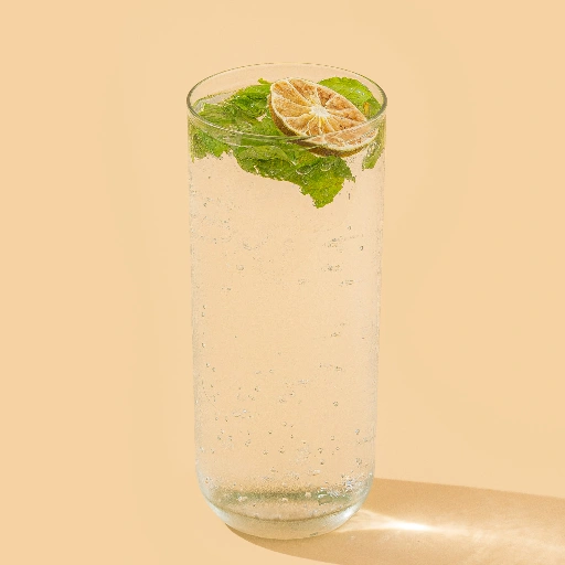 Mint Mojito
